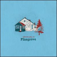 Amperland, NY - Pinegrove