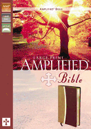 Amplified Bible