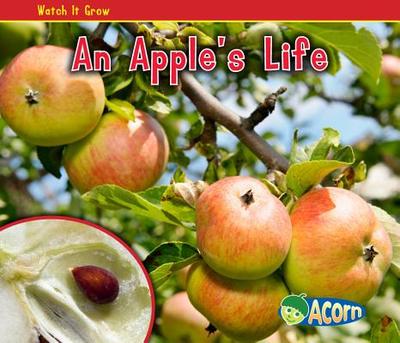 An Apple's Life - Dickmann, Nancy