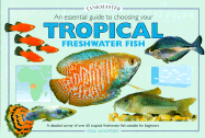 An Essential Guide to Choosing Your Tropical Freshwater Fish
