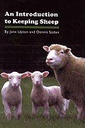 An Introduction to Keeping Sheep