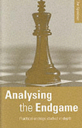 Analysing the Endgame: Practical Endings Studied in Depth