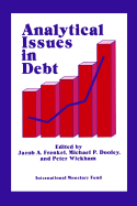 Analytical Issues in Debt
