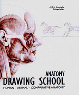 Anatomy Drawing School