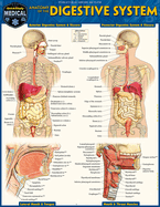 Anatomy of the Digestive System: Quickstudy Laminated Reference Guide