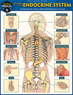 Anatomy of the Endocrine System: A Quickstudy Laminated Reference Guide