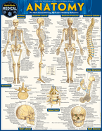 Anatomy - Reference Guide (8.5 X 11): A Quickstudy Reference Tool