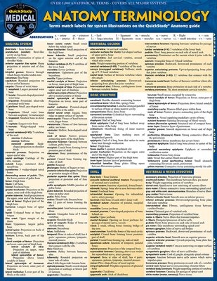 Anatomy Terminology - BarCharts Inc