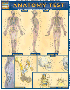 Anatomy Test