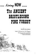 Ancient Bristlecone Pine Forest