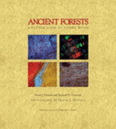 Ancient Forests: A Closer Look at Fossil Wood