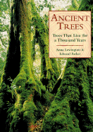 Ancient Trees: Trees That Live for 1,000 Years