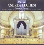 Andrea Lucchesi: Sonate per Organo
