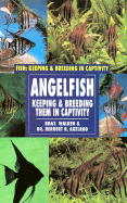 Angelfish (Oop) - Walker, Braz