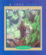 Angelfish