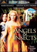 Angels and Insects