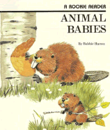 Animal Babies