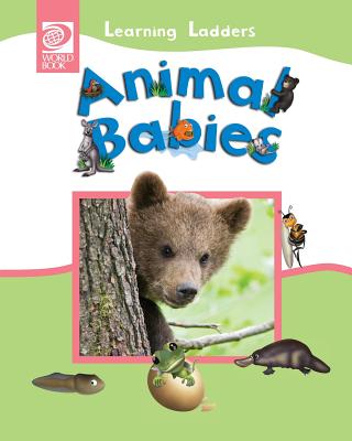 Animal Babies - World Book, Inc (Editor)