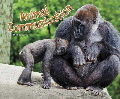 Animal Communication - Dunne, Abbie
