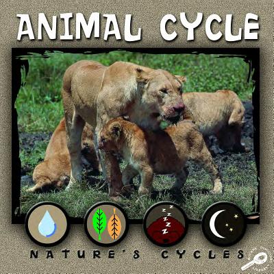 Animal Cycle - James, Ray