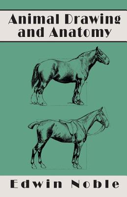 Animal Drawing and Anatomy - Noble, Edwin
