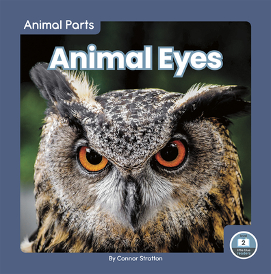 Animal Eyes - Stratton, Connor