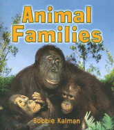 Animal Families