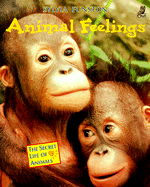 Animal Feelings