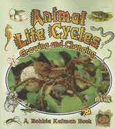 Animal Life Cycles: Growing and Changing