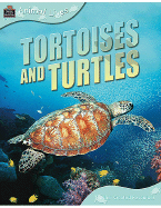 Animal Lives: Tortoises and Turtles