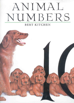 Animal Numbers - Kitchen, Bert