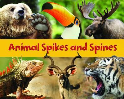 Animal Spikes and Spines - Rissman, Rebecca