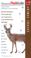 Animal Tracks
