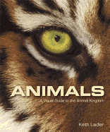 Animals: A Visual Guide to the Animal Kingdom