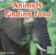 Animals Finding Food