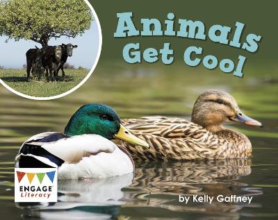 Animals Get Cool - Gaffney, Kelly