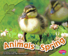 Animals in Spring