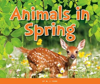 Animals in Spring - York, M J