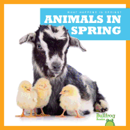 Animals in Spring