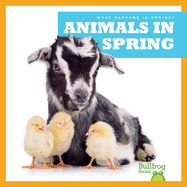 Animals in Spring