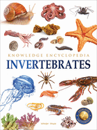 Animals: Invertebrates