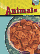 Animals: Multicelled Life