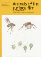 Animals of the surface film