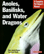 Anoles, Basilisks, and Water Dragons