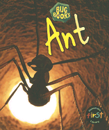 Ant