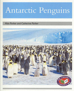 Antarctic Penguins