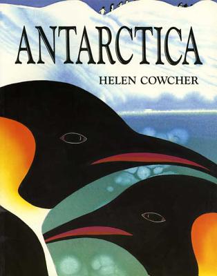 Antarctica - 