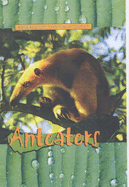 Anteaters