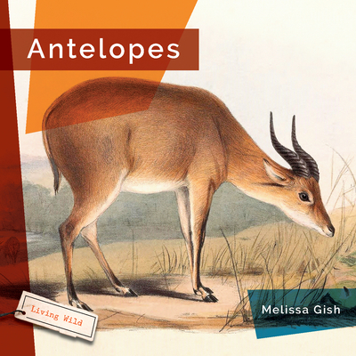 Antelopes - Gish, Melissa