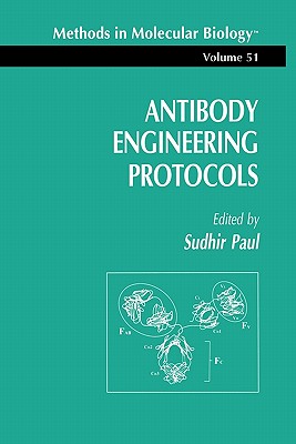 Antibody Engineering Protocols - Paul, Sudhir (Editor)
